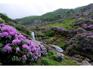Trabzon'daki otellerde yüzde yüz doluluk