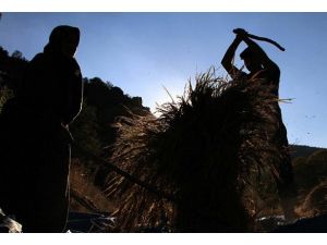 Türkiye tahıl veriminde "çağ atladı"