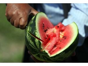 Diyet yapanlara "karpuz-peynir" uyarısı