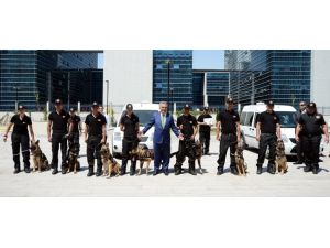 Gümrüklere 7 "süper burun" daha