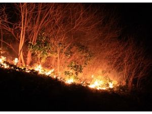 Meteorolojiden "orman yangını" uyarısı