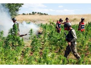 Diyarbakır'da uyuşturucu tacirlerine göz açtırılmıyor