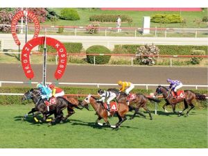 Gazi Koşusu'nun galibi Divine Heart