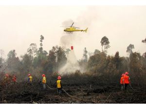 Arizona'da orman yangını
