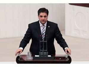 Önen AGİTPA başkan yardımcısı