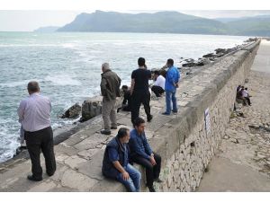 Amasra'da kaybolan 1 amatör balıkçı bulundu