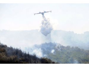 İzmir'de orman yangını