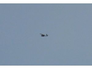 İsrail savaş uçağı düştü