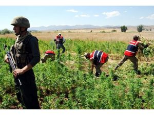 Diyarbakır'da büyük uyuşturucu operasyonu