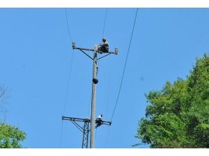 Ayı korkusundan mahsur kaldılar