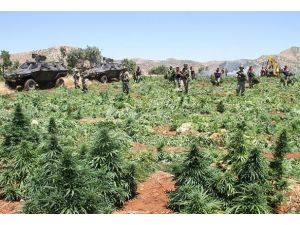 Uyuşturucu tacirlerine göz açtırılmıyor