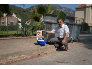 Beldibi Belediyesi hayvanlara sahip çıktı