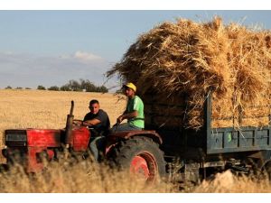 Üretim artınca saman fiyatı dibe vurdu