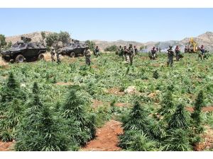 Operasyonlar suç unsuru tespit edilen yerlere yapılmaktadır