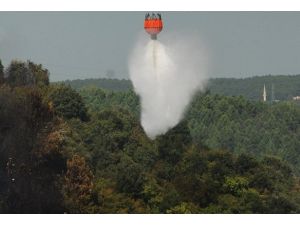 Beykoz'da orman yangını