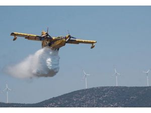 Aydın'da orman yangın