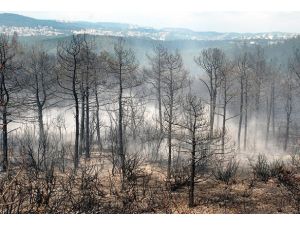 Sabotaj varsa cezası ağır olur