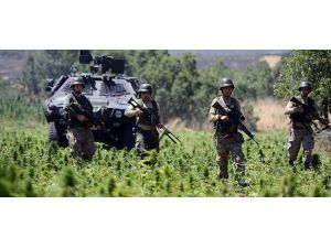 Diyarbakır'da 3 milyon Hint keneviri ele geçirildi