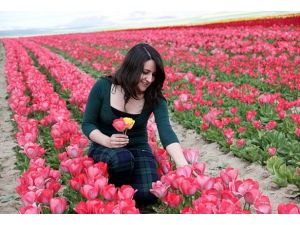 Türkiye Hollanda'ya ilk kez lale ihraç etti