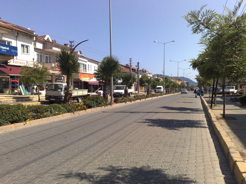 Gündem soruyor ağaçlar nerede