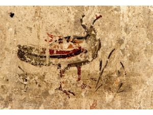 İki bin yıllık duvar resimleri gün yüzüne çıkarılıyor