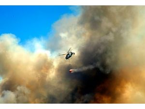 Bilecik'te orman yangını