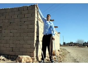 Dünyanın en uzun adamı "ev"leniyor