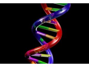 Kanserin genlerle ilişkisi doğrulandı