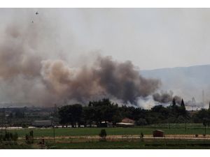 İzmir'de orman yangını