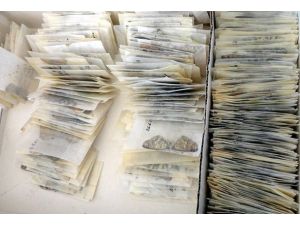 Kelebek kaçakçılarına suçüstü