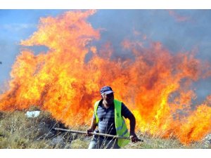 Milastaki orman yangını kontrol altına alındı