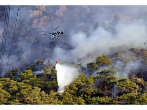 Antalya'da orman yangını