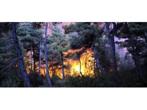 Çanakkale'de orman yangını