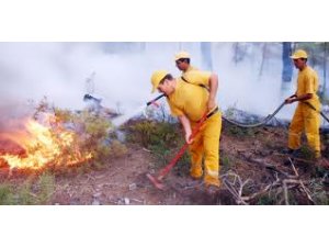 Muğla'daki orman yangını