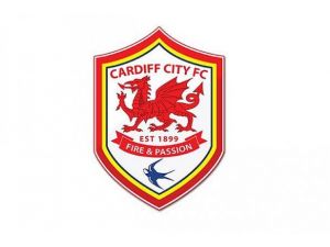 İngiliz kulübüne Türk başkan