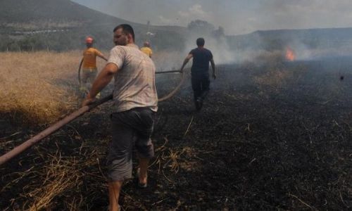 Milasta ziraat alanında yangın