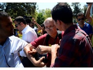 Gezi Parkı'nda 17 kişi gözaltına alındı