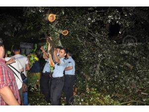Kuvvetli fırtına ağaçları devirdi: 1 ölü