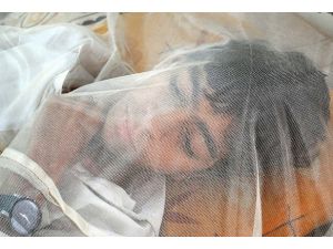 Dang humması can alıyor