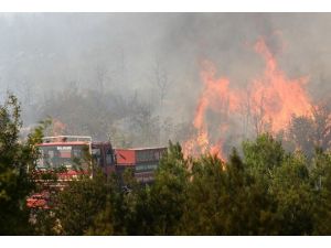 Tekrar müdahaleye başlandı
