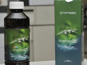 Diyabete "Mengüsu" ile tedavi