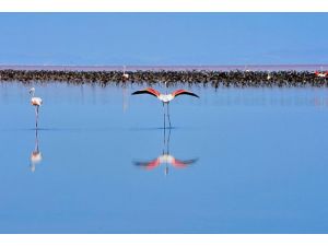 Türkiye'den 41 varlık "Dünya Mirası Geçici Listesi"nde
