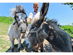 Peyniri 1000, litresi 50 Avro