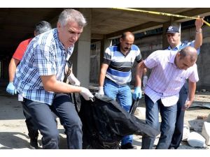 İnşaat halindeki otelde 3 erkek cesedi bulundu