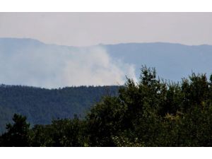 Türkiye-Suriye sınırında orman yangını