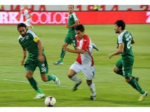 Timsah istediğini aldı