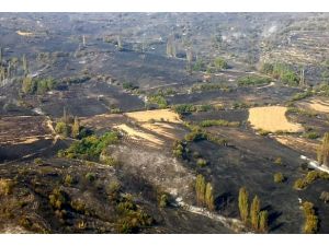 Yanan ormanlık alan havadan görüntülendi