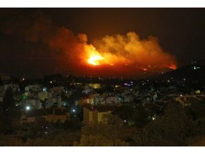 Urla'da orman yangını