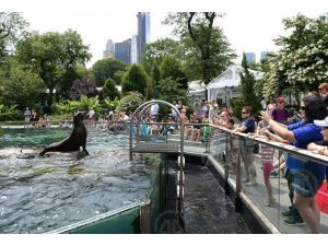 Central Parkın sevimli hayvanları