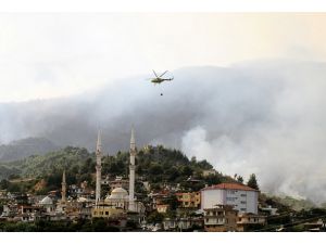 Hatay'da 700 hektarlık orman zarar gördü